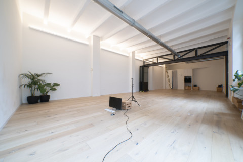 gallery visual content