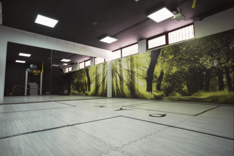 gallery visual content