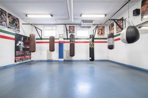 gallery visual content