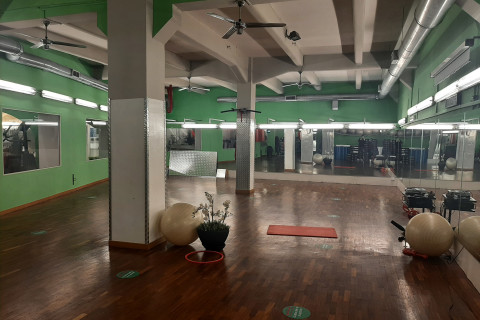 gallery visual content