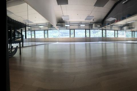 gallery visual content