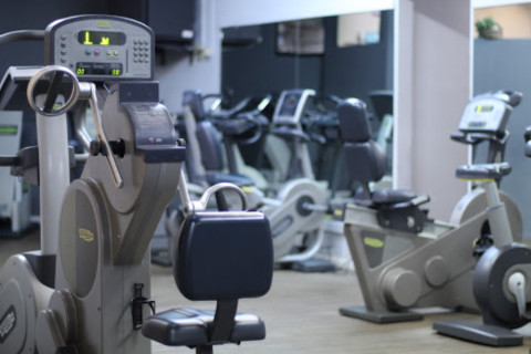 Palestra Il Mondo