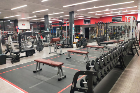 Palestra President