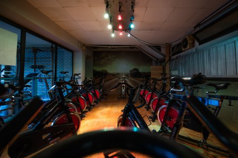 gallery visual content