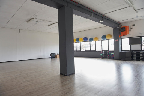 gallery visual content