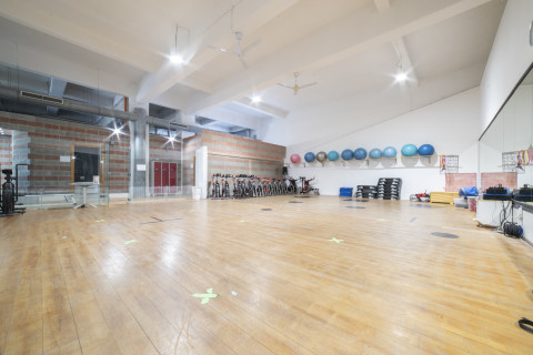 gallery visual content