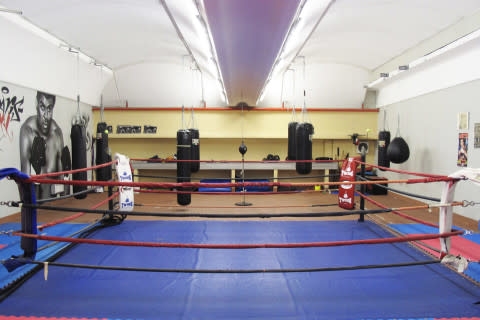 gallery visual content