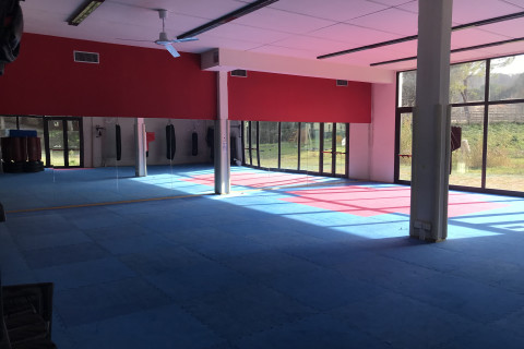 gallery visual content