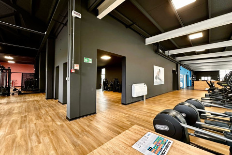 gallery visual content