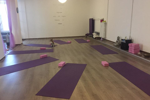 Il Sentiero dello Yoga
