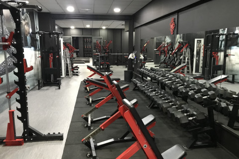 Shark Club Fitness