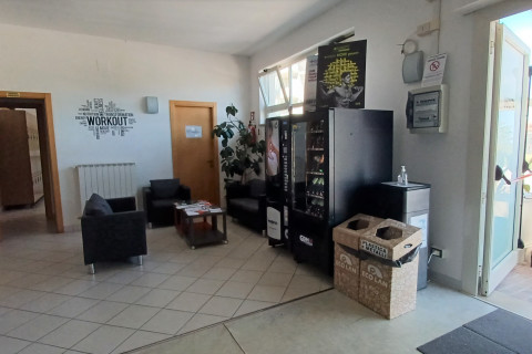 gallery visual content