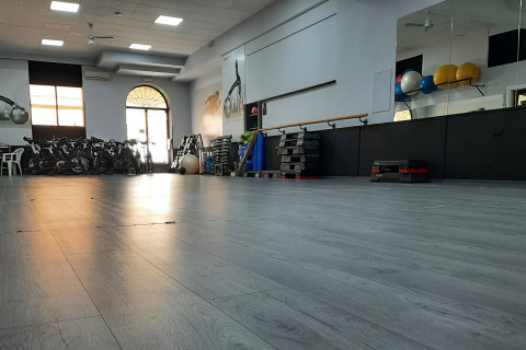 gallery visual content