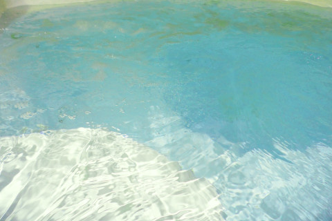 gallery visual content
