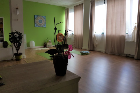 gallery visual content