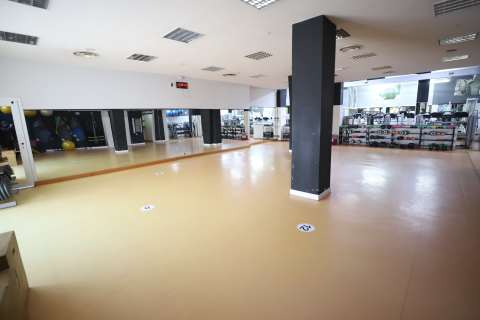 gallery visual content