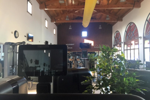 gallery visual content