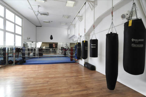 gallery visual content