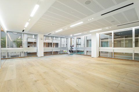 gallery visual content