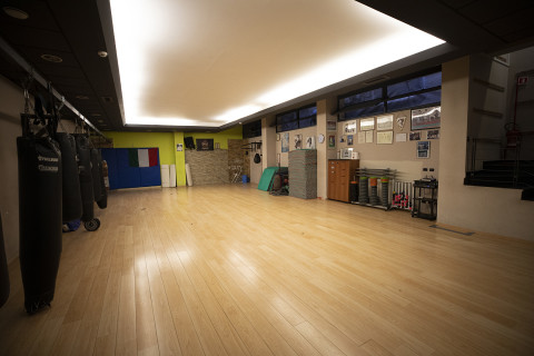 gallery visual content