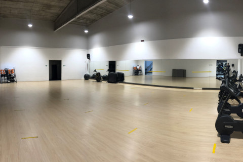 gallery visual content