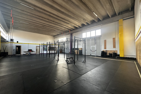 gallery visual content
