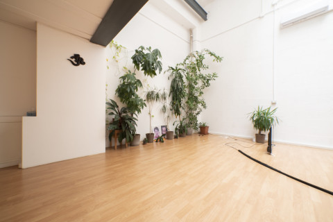 gallery visual content