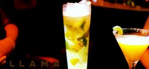 $12 Cocktails at Llama Bar