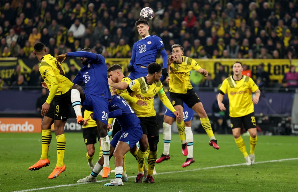 Dortmund survet sale