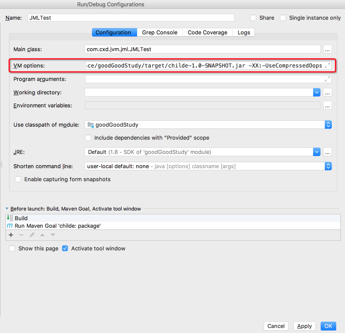 idea-vm-options