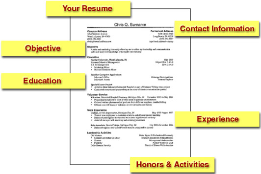 Employer looks at a resume