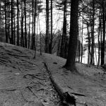 Middlesex Fells