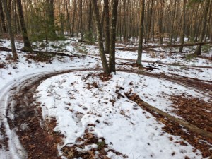 Paths through Burlington Landlocked Forest