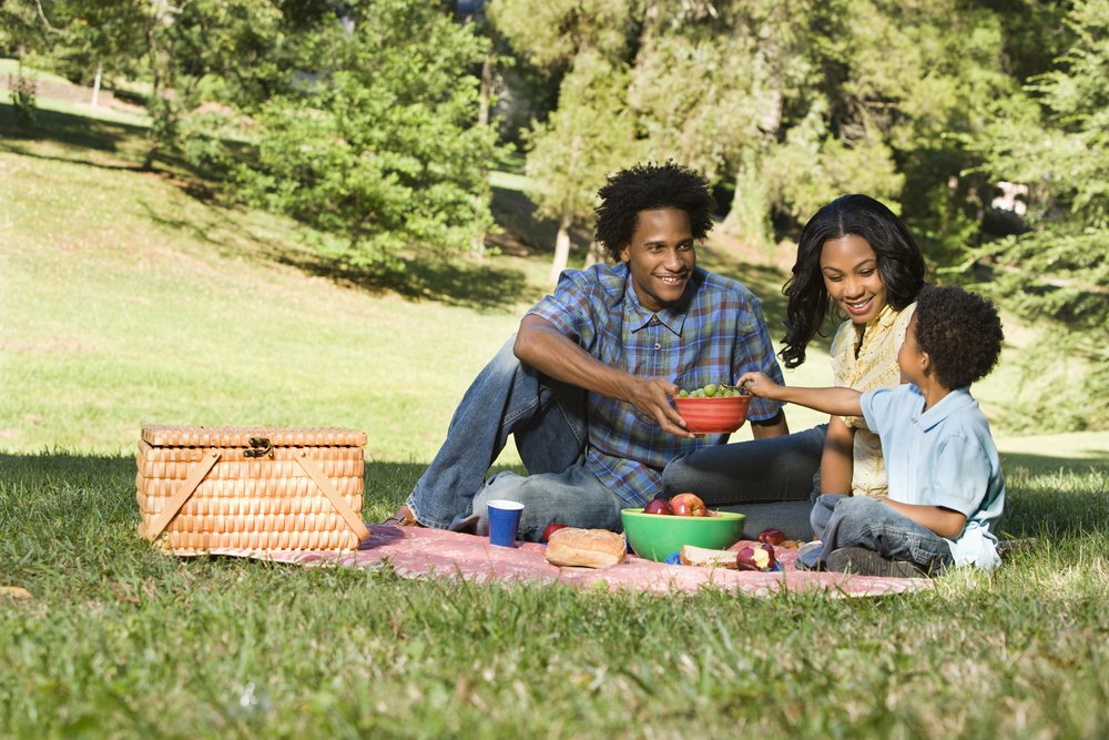 Picnics in the Park
