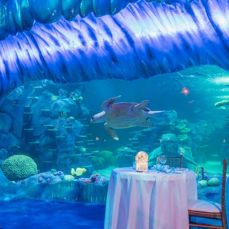 Aquarium private dining | City of Sydney - What's On Aquarium private dining | City of Sydney - What's On