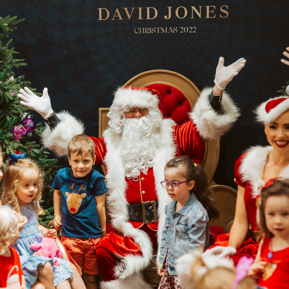 David jones santa photos 2020 deals