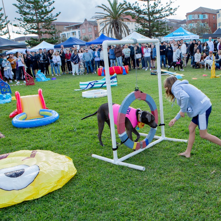Bondi hotsell dog day