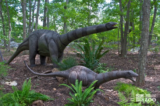 Apatosaurus and baby
