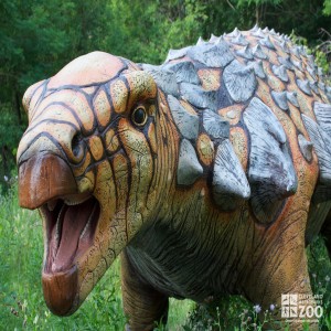 Edmontonia Side View