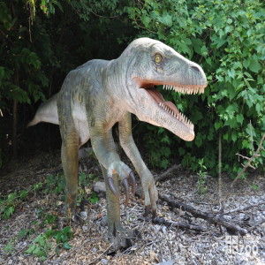 Deinonychus "terrible claw"