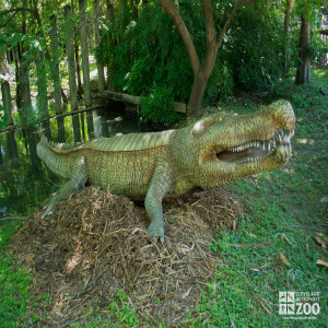 Deinonsuchus "terrible crocodile"