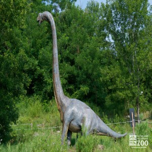 Brachiosaurus "arm lizard"