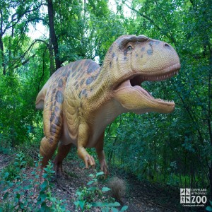 Acrocathosaurus