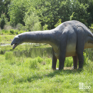 Apatosaurus "deceptive lizard"