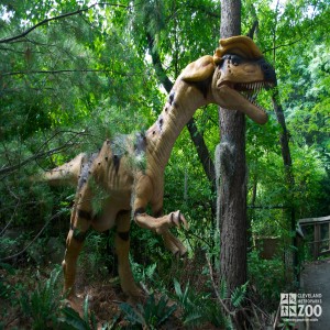 Dilophosaurus "two ridged lizard"