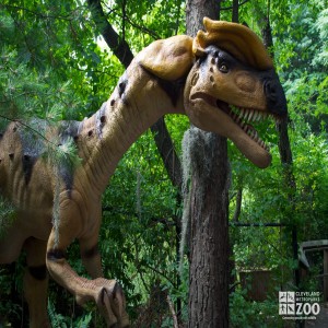Dilophosaurus Up Close