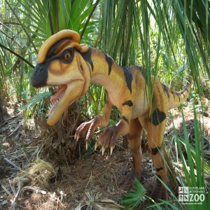 Dilophosaurus Baby