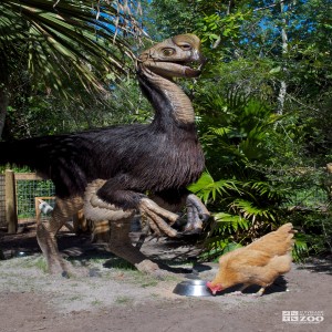 Citipati and Chicken