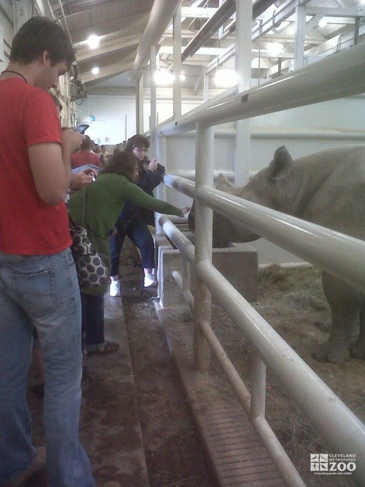 2011 AIP Group at the Rhino Building