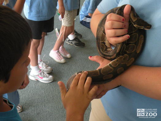 Summer Day Camp - Snake